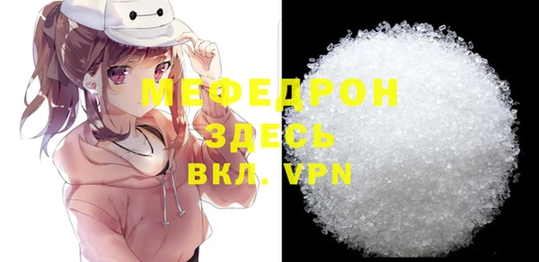 индика Нягань