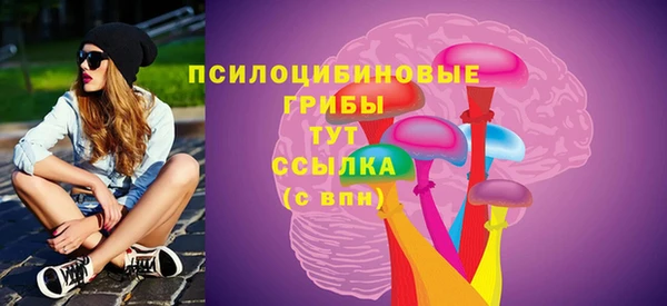 apvp Абаза
