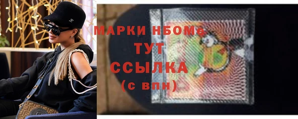 индика Нягань