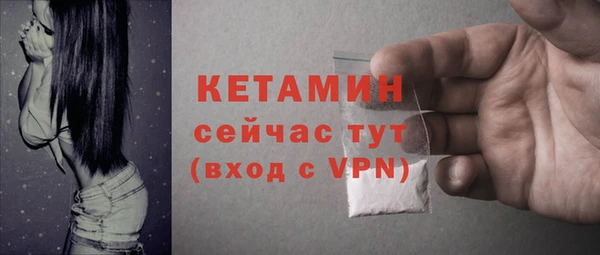 индика Нягань