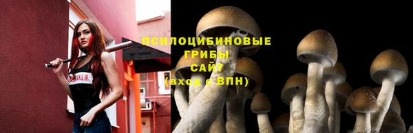 spice Абинск