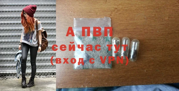 apvp Абаза