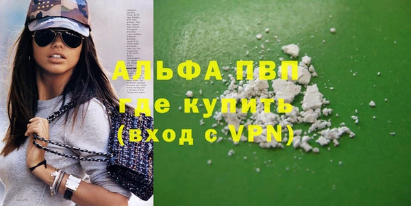 индика Нягань
