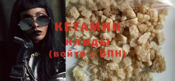 индика Нягань