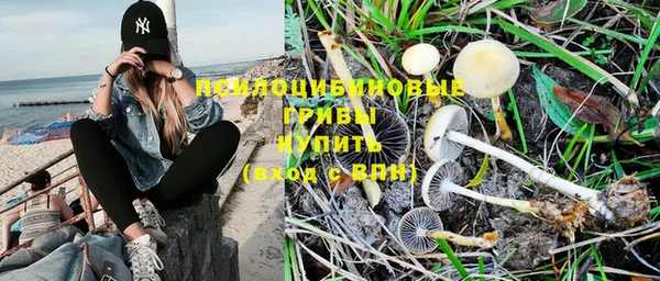 прущая мука Нязепетровск