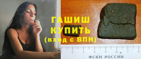 индика Нягань