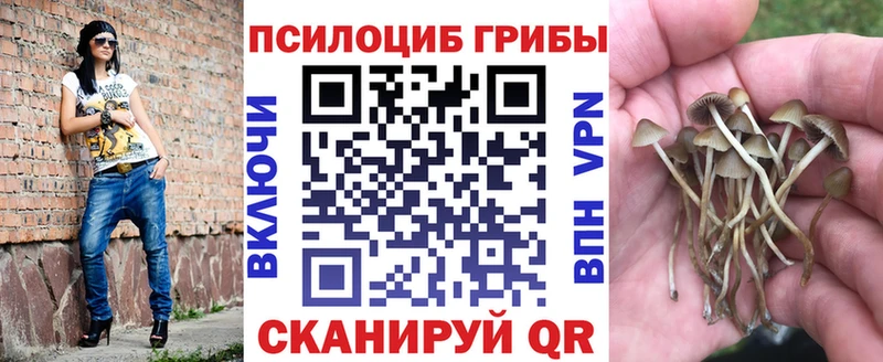 Галлюциногенные грибы прущие грибы  Ханты-Мансийск 